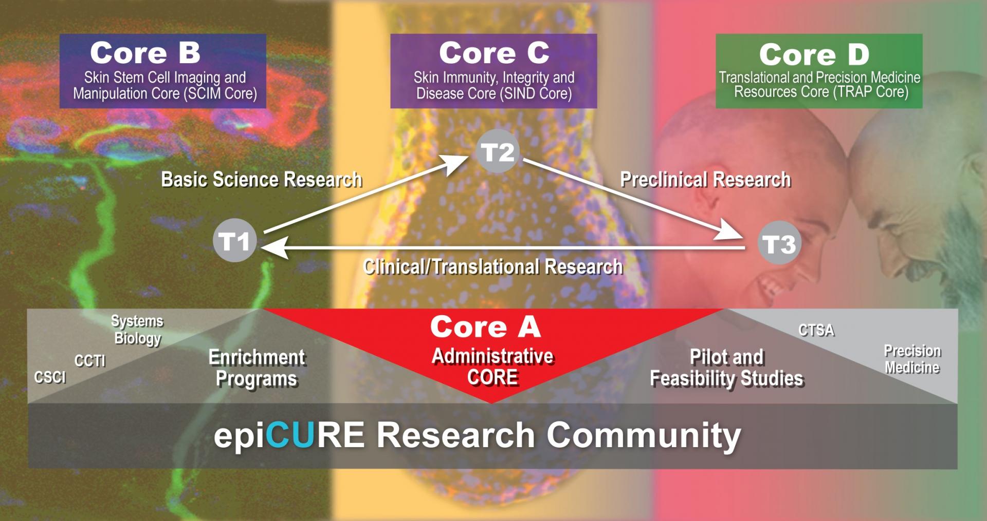 epiCURE Cores Overview